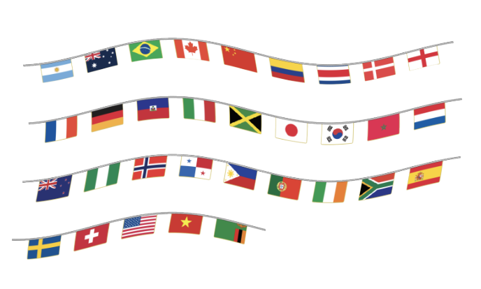 World Cup Teams Flag Bunting 10M