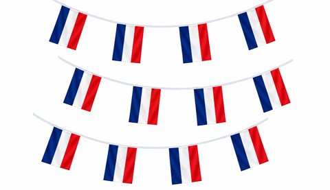 France Flag Bunting